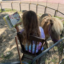 JuneBug Finds Her Forever Home | Paperback Children's Book | 32 Pages  | By Brenda L Johnson