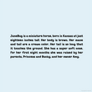 JuneBug Finds Her Forever Home | Paperback Children's Book | 32 Pages  | By Brenda L Johnson