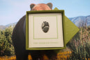 Bear Claw Lapel Pin