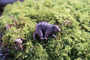 Bear Copper Lapel Pin