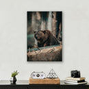 Bear in the Forest - Print