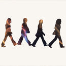 The Beatles Abbey Road Metal Art