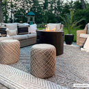 Beige Charcoal Areli Outdoor Area Rug