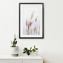 Beige Dried Grass Print. Summer Field