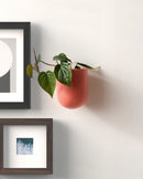 Bender Wall Planter
