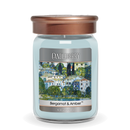 NOUVEAU™ - Bergamot & Amber™, Large Jar Candle (Collective)