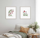 Big Red - Open Edition Paper Print
