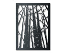 Birch Trees Metal Wall Art | Indoor Outdoor | Up to 46" | Over 20 Color Options