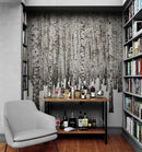White Birch Tree Forest Wallpaper Mural. IQ-1236