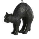 Black Cat