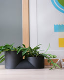 Double Planter