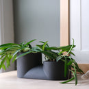 Double Planter