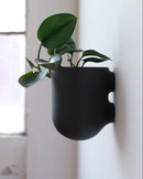 Bender Wall Planter