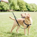 Tan Freedom No-Pull Dog Harness