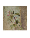 Blossoms