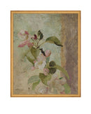 Blossoms