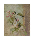 Blossoms