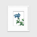 Blue - Open Edition Paper Print