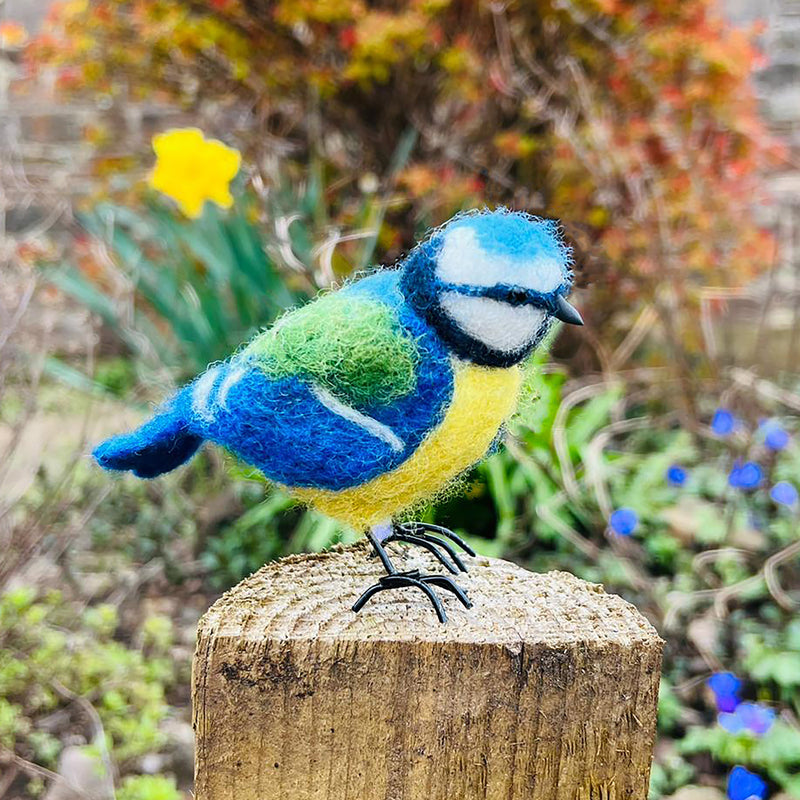 Felting Kit - Blue Tit Needle Felt Kit