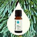 Blue Cypress Essential Oil