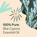 Blue Cypress Essential Oil