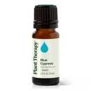 Blue Cypress Essential Oil
