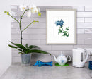 Blue - Open Edition Paper Print