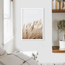 Bohemian Pampas Grass Print. Nature Inspired Theme