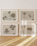 Botanical Thoughts III