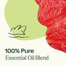 Brain Aid Essential Oil Blend