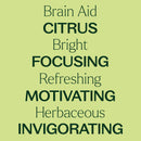 Brain Aid Essential Oil Blend