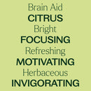 Brain Aid Essential Oil Blend Pre-Diluted Roll-On