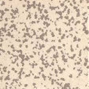 Gray Mottle Porcelain Square Foot 50x50