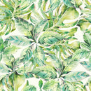 Green Leaves and Monstera Wallpaper