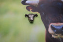 Bull Head Lapel Pin