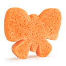 Butterfly | Sponge Animals