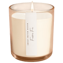 Fraser Fir Soy Candle - Tinted Glass Jar - 12 oz
