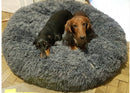 The POOF! Calming Dog Bed
