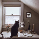 Nom! C368 Counted Cross Stitch Kit