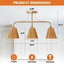 30 Inch Paddy 3-Light Chandelier