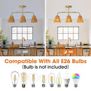 30 Inch Paddy 3-Light Chandelier