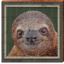 Sloth Wooden Sign | Wall Art Print on Real Wood