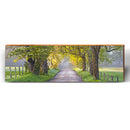 Country Roads | Wall Art Print on Real Wood