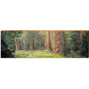 CAL11C3M | Wall Art Print on Real Wood