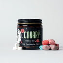 Bubble Gum Toothpaste Tablets