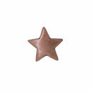Star Copper Lapel Pin