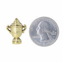 Trophy Gold Lapel Pin