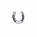 Horseshoe Lapel Pin