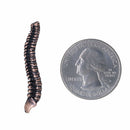 Spine Copper Lapel Pin