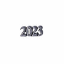 Year Lapel Pins